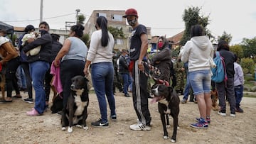 Sisb&eacute;n IV en Colombia hoy, s&aacute;bado 22 de enero. Conozca cu&aacute;l es el link para consultar el grupo y puntaje y cu&aacute;les son las &uacute;ltimas noticias del sistema.