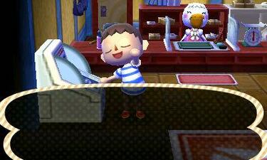 Animal Crossing: New Leaf