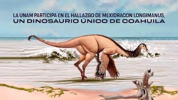 Encontrado un nuevo dinosaurio “único” en México: el Mexidracon, un terópodo con características nunca vistas