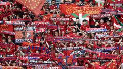 Insultos contra España y la Selección en El Sadar y San Mamés