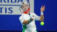 Schwartzman cayó en la primera ronda del ATP de Viena