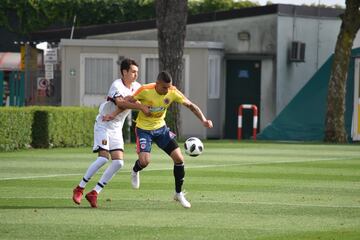 La Selección Colombia jugó un amistoso a puerta cerrada ante la Primavera del Genoa en Milanello, en el cual José Pékerman puso a prueba los esquemas y variantes que ha trabajado en los últimos días. James y Cristian Zapata, los ausentes. Otro que no tuvo acción fue José Fernando Cuadrado por decisión técnica.