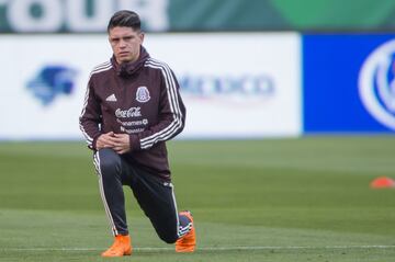 Un joven con mucha proyección en el fútbol mexicano y más allá. Debutó en 2017, tras año y medio su valor de mercado ya está en 5 millones de euros.