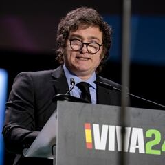 ¿A qué se dedicaba Javier Milei antes de ser presidente de Argentina y cuál es su profesión?