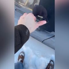 La petición viral de un usuario de Tesla a Elon Musk por un fallo en el coche