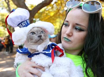 Tompkins Square Park es un parque de cuatro hectáreas del East Side de Manhattan en Nueva York donde se han reunido numerosos perros disfrazados para Halloween.