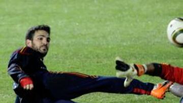 <b>SIN DUDAS. </b>Cesc confía en el grupo y sólo entrena para disfrutar de minutos con la Selección.