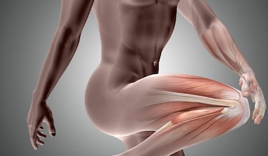 ¿Tienes dolor de rodilla y 30 años de edad?, tu cartílago se esta deteriorando por esta razón