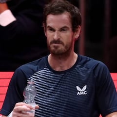 Bautista y Murray no jugarán en Colonia por problemas físicos