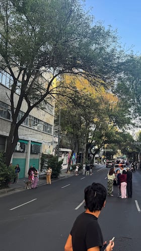 Sismo de 6.5 sacude a CDMX