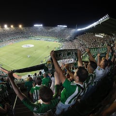 Precio único para los visitantes