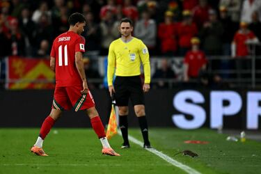 Brennan Johnson intentado capturar el roedor durante el duelo entre la selección galesa y la belga en el Cardiff City Stadium.