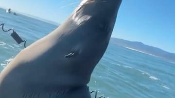 León Marino en Mavericks, Half Moon Bay, California, el 5 de enero del 2024.