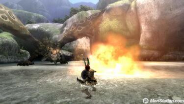 Monster Hunter Tri, Impresiones