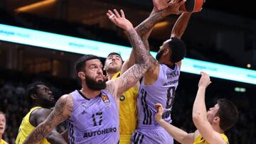 BERLIN, GERMANY - JANUARY 12: Adam Hanga, #8 of Real Madrid competes with Yovel Zoosman, #50 of Alba Berlin during the 2022-23 Turkish Airlines EuroLeague Regular Season Round 19 game between Alba Berlin and Real Madrid at Mercedes-Benz Arena on January 12, 2023 in Berlin, Germany. (Photo by Regina Hoffmann/Euroleague Basketball via Getty Images)