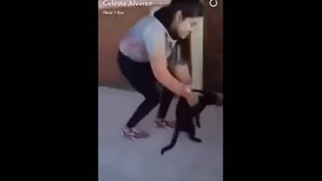 Una joven argentina decidi&oacute; lanzar a un gato desde un cuarto piso para ver si ca&iacute;a de pie.