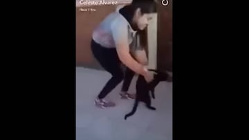 Una joven argentina decidió lanzar a un gato desde un cuarto piso para ver si caía de pie.