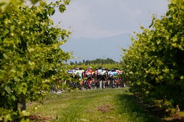 Panorámica del pelotón. 