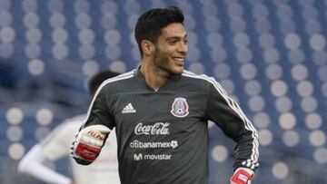 Raúl Jiménez, Selección Mexicana