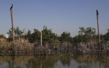 Así están las aguas de Río a pocos días de los JJ.OO.