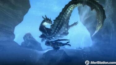 Monster Hunter Tri, Impresiones
