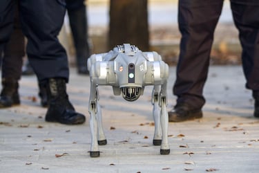 Perros robot llegan a México: Reforzarán plan de seguridad en el Estadio Monterrey para el Mundial 2026