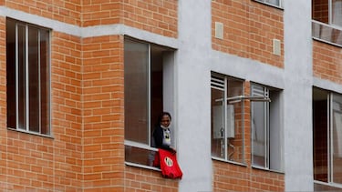 Adiós a las plantas: la ley colombiana que prohíbe colocarlas en este lugar de la casa
