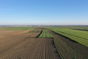 Dubái pone los ojos en esta región española para poner en marcha uno de los mayores complejos de centros de datos de IA