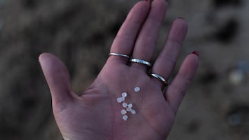 Un agente de la Polic¨ªa Local y una guarda costas hacen una recogida de pellets de la arena, en la Illa de Arousa, a 4 de enero de 2024, en Pontevedra, Galicia (Espa?a).Grandes cantidades de pellets de pl¨¢sticos llevan apareciendo, desde el 13 de diciembre en las R¨ªas Baixas y en la r¨ªa de Muros e Noia en bolsas de alrededor de 25 kilos, con el nombre de una empresa con sede en Polonia. As¨ª lo ha informado la Asociaci¨®n Noia Limpa, que ha detallado que se report¨® la p¨¦rdida de mercanc¨ªa de seis contenedores cerca de Viana do Castelo, en Portugal. Los pellets son peque?as bolas de pl¨¢stico de menos de cinco mil¨ªmetros de tama?o que son empleadas para fabricar productos de pl¨¢stico, por su peque?o tama?o y peso ligero, es "casi imposible limpiarlos" una vez que se esparcen por las playas.
04 ENERO 2024
Elena Fern¨¢ndez / Europa Press
04/01/2024