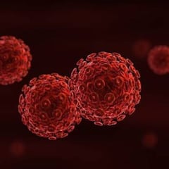 Detectan la primera infección simultánea de viruela del mono, de la COVID y del VIH