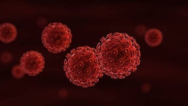 El VIH tiene los días contados: se descubre un método para eliminar al virus de las células infectadas