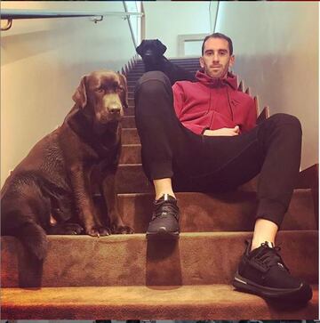 Otro de los futbolistas que disfruta mucho de la compañía de sus animales es el zaguero colchonero, Diego Godín. 