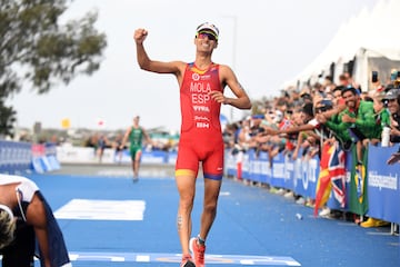 El deportista español compite en triatlón y duatlón. Es tres veces campeón mundial de triatlón y campeón mundial de duatlón. En total tiene diez medallas entre mundiales y europeos. Ha participado en tres JJOO.