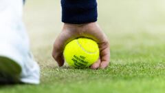 Cuando el Open de Australia se jugaba en hierba