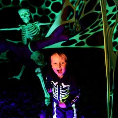 What are the best hours for trick-or-treating on Halloween? The best strategy to receive more candy