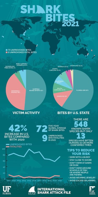 Ataques de tiburn en el mundo: surf y Florida, principales vctimas