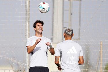 Un Granada sin brotes de olivo