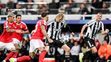 Resumen y goles del Newcastle vs Benfica, jornada 3 de la fase liga de la Champions League 25-26