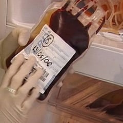 Los tribunales ofrecen al CONI las bolsas de sangre de la OP