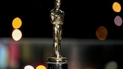 Distinctive Assets, the firm behind the six-figure “Everyone Wins” Oscars gift bag, last month revealed the free goodies that Oscars nominees will receive.