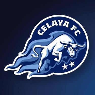 El equipo de fútbol mexicano, conocido como los Toros de Celaya, representa la tradición de la región. El astado en su escudo trata de transmitir la fortaleza del equipo, el cual fue subcampeón de liga en la temporada 1996. Además, se le reconoce también porque tres jugadores históricos del Real Madrid (Butragueño, Míchel y Hugo Sánchez) se retiraron en el club cajetero.