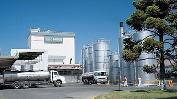 ¿Adiós a Nestlé?: cerraron esta importante planta en Chile y esto sucederá con los trabajadores