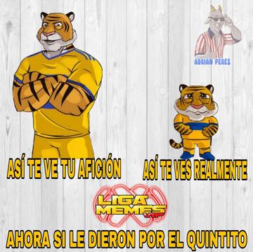 Los memes no paran de reír por la eliminación de Tigres y Xolos