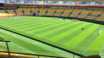 Estadio de Wellington donde se jugar&aacute; el partido entre Per&uacute; y Nueva Zelanda.