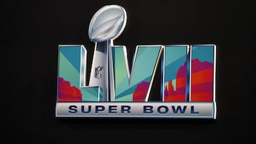 With ticket prices as high as ever for the 'once-in-a-lifetime' experience, one has to wonder who can afford Super Bowl tickets and what exactly do you get?