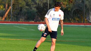 El volante disputó tres de los cuatro partidos de la Selección Colombia en la Copa América