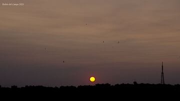 AEMET da la raz¨®n por la que Madrid amanece con un ¡°extra?o¡± humo: ?de d¨®nde viene?
