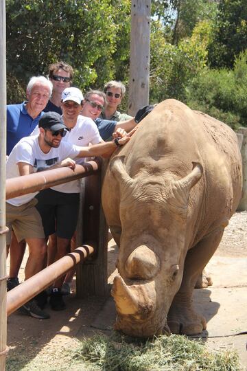 Rafael Maymó, Sebastià Nadal, Rafa Nadal, Carlos Moyá, Benito Pérez Barbadillo y Carlos Costa, con el rinoceronte.