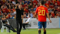 Spain's Real Madrid reliance means nothing to Luis Enrique