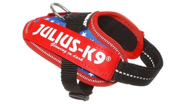 ¿Qué se necesita para tener un perro? 10 productos básicos (y baratos) para que cuides de tu mascota